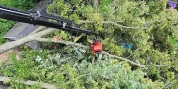 24/7 Emergency Tree Service & Storm Damage Repair