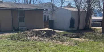 Stump Grinding and Stump Removal