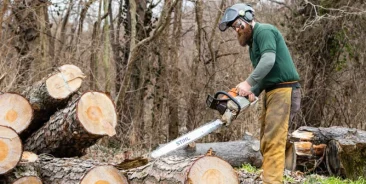 Professional credentials and industry memberships