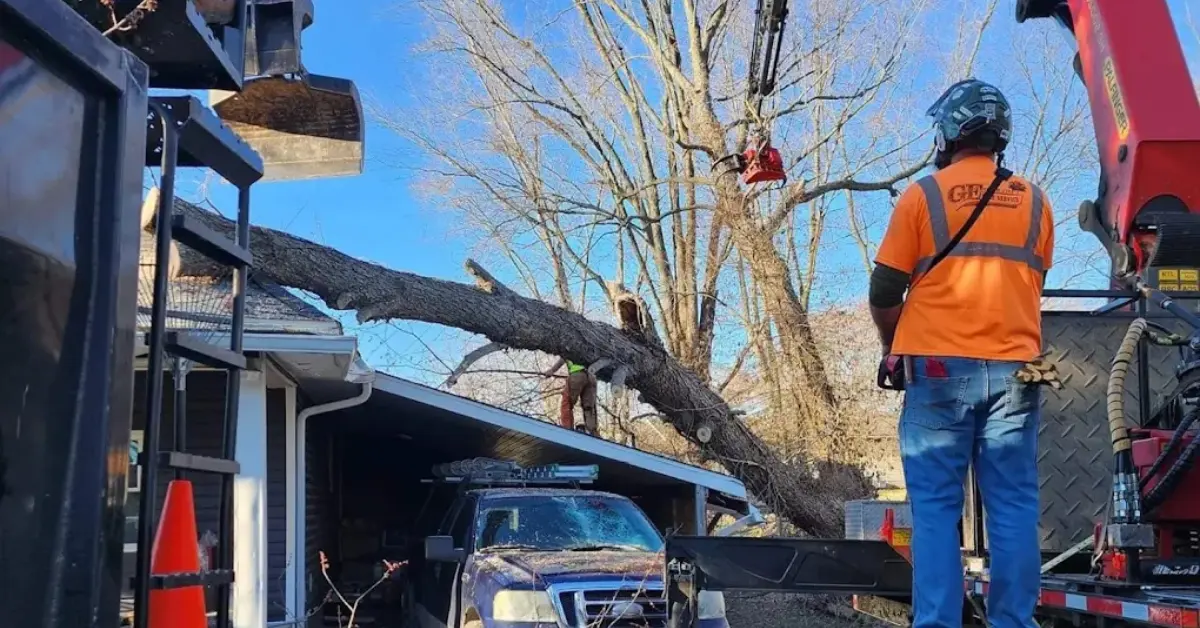 24/7 Emergency Tree Service in Petersburg, IN and Southwest Indiana