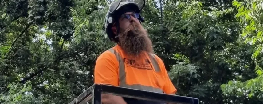 How to Identify Dangerous Trees on Your Petersburg Property