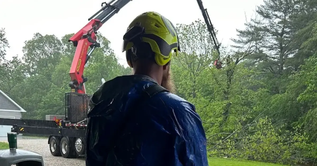 Tree Pruning in Petersburg, IN and Southwest Indiana