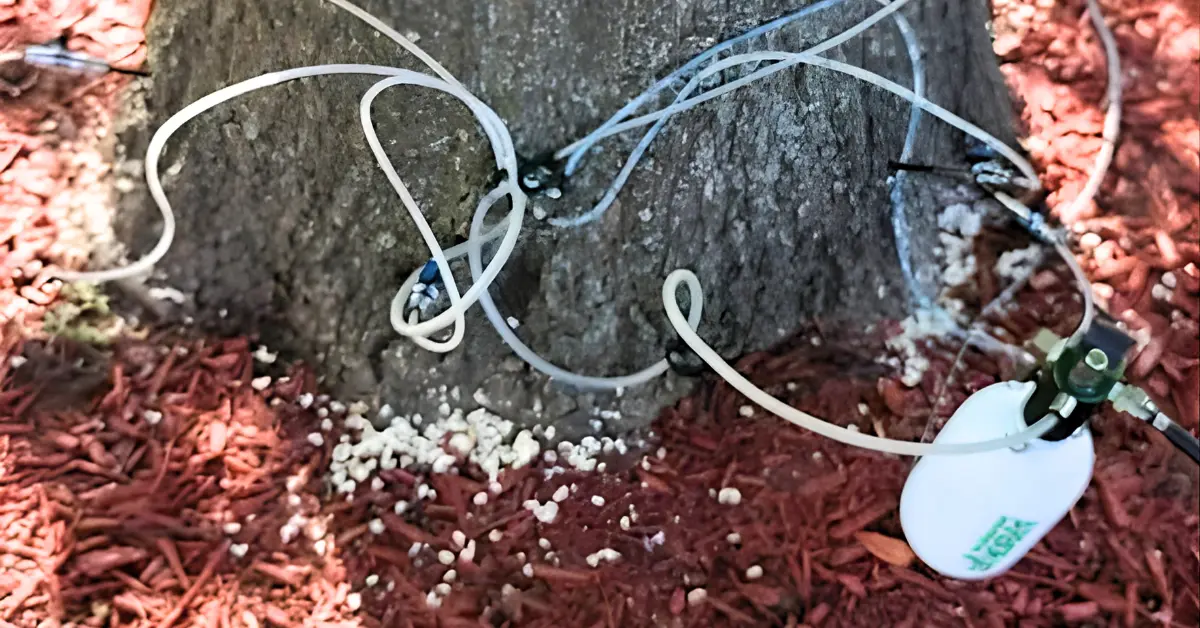 Systemic Injections & Tree Health Treatments in Petersburg, IN and Southwest Indiana