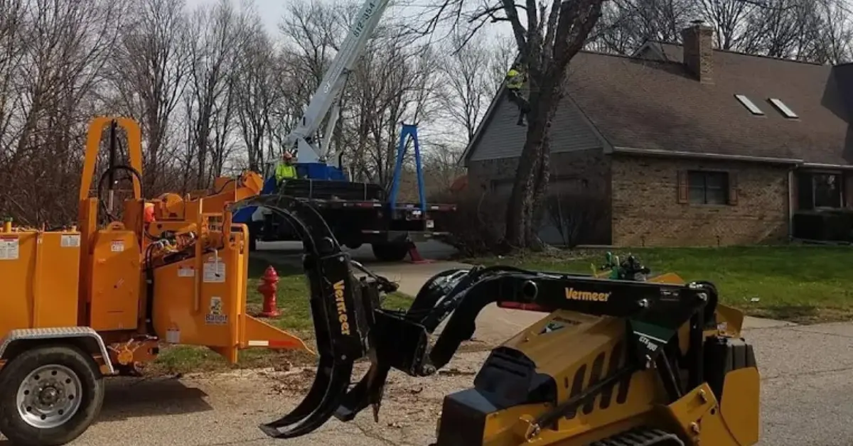 Tree Health Assessment in Petersburg, IN and Southwest Indiana
