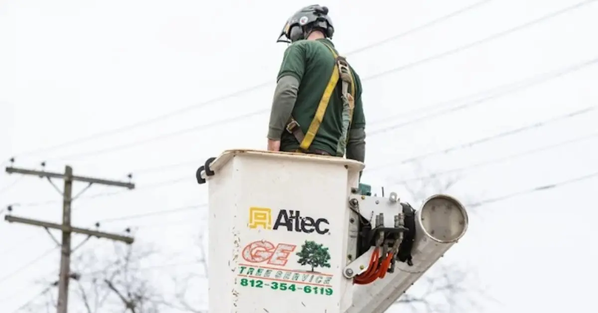 Tree Risk Assessment in Petersburg, IN and Southwest Indiana