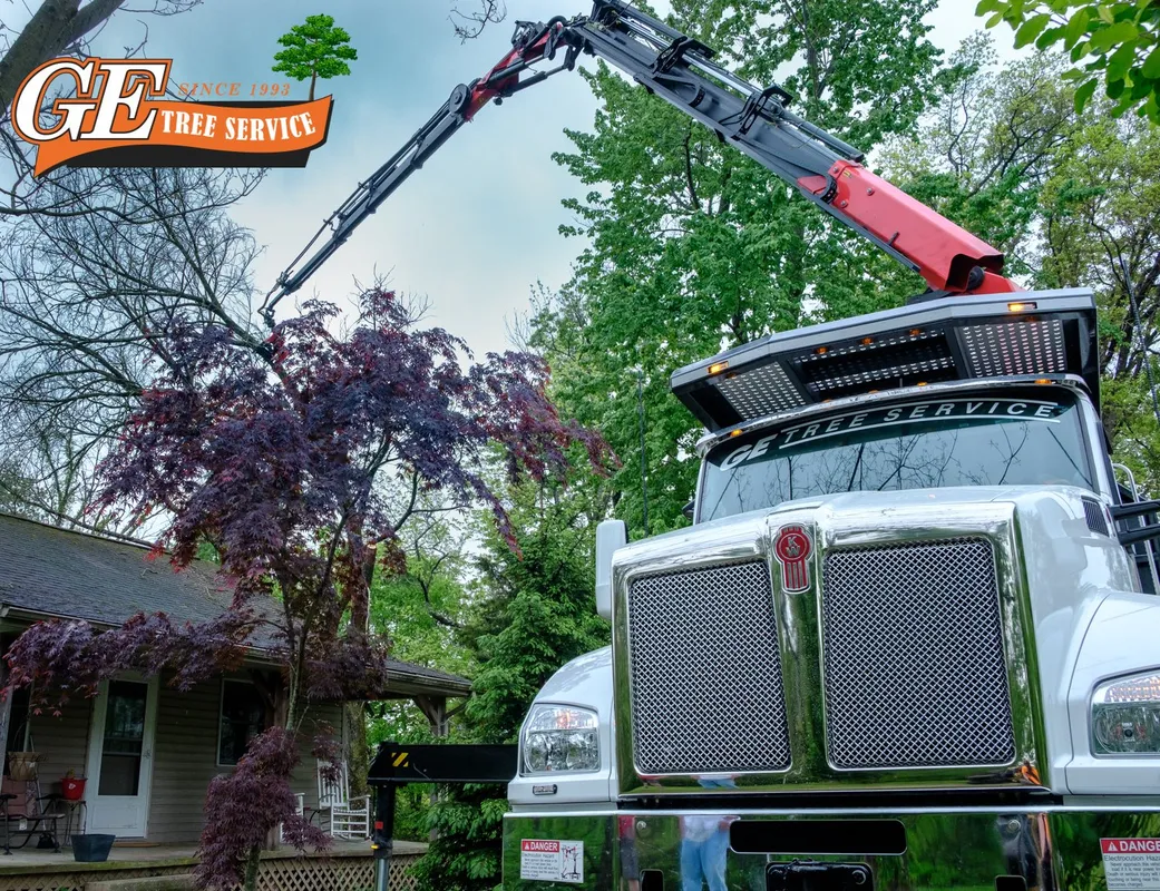 GE Tree Service Experts Offer