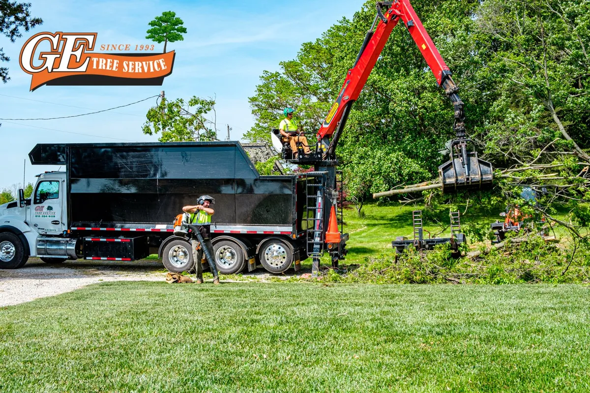 Quality Tree Service Homeowners Can Depend On