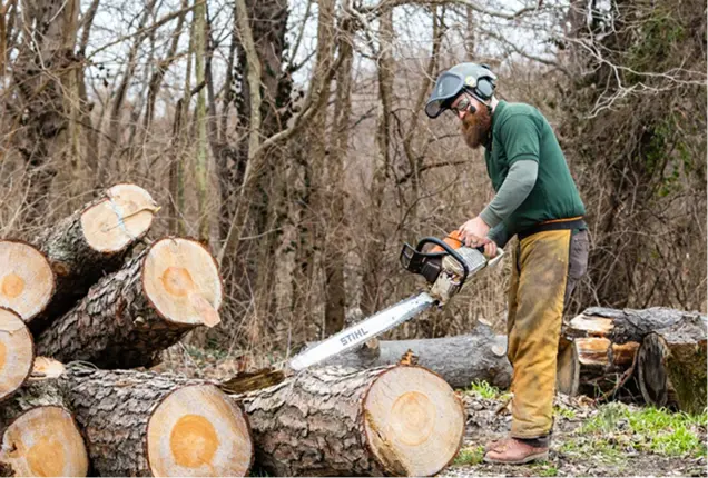 About GE Tree Services