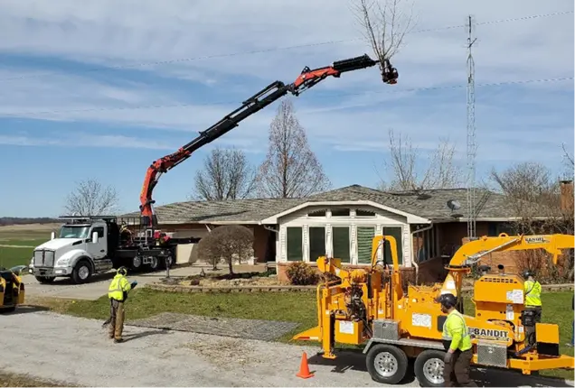 About GE Tree: Licensed, Insured, and Safety-Focused