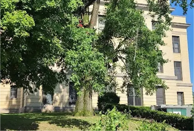 About GE Tree: Serving Our Community