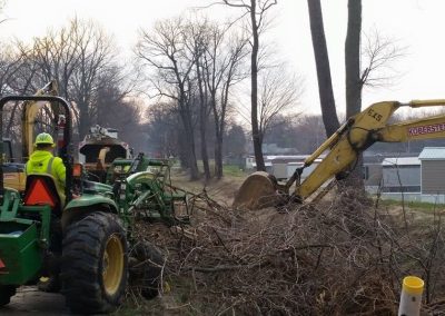 tree service princeton in