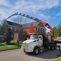 crane tree removal in princeton in